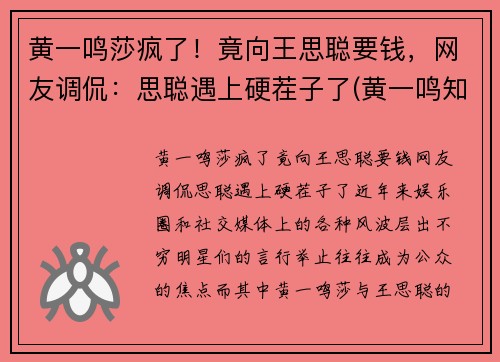 黄一鸣莎疯了！竟向王思聪要钱，网友调侃：思聪遇上硬茬子了(黄一鸣知乎)